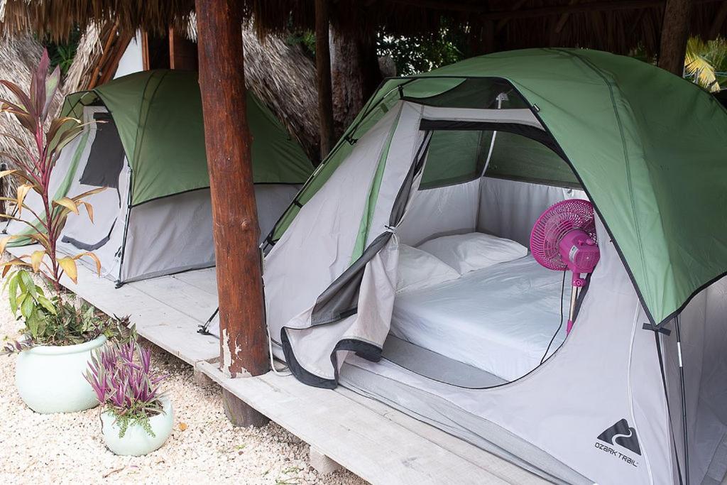 Mapache Hostel&Camping Isla Holbox Exterior foto