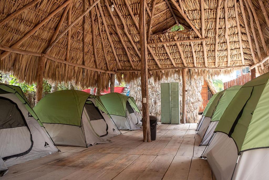 Mapache Hostel&Camping Isla Holbox Exterior foto