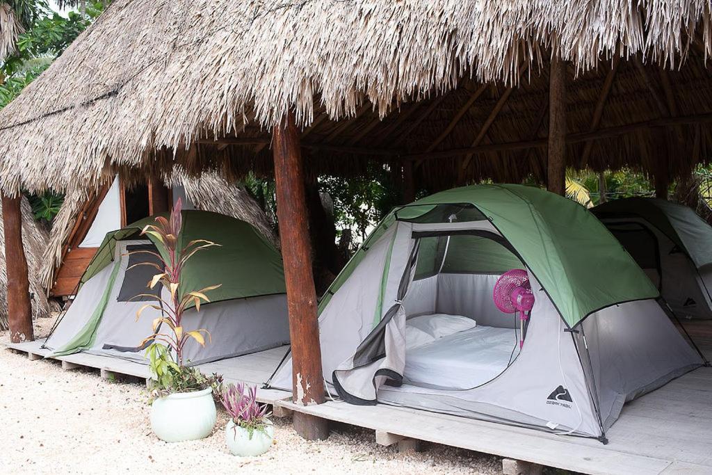 Mapache Hostel&Camping Isla Holbox Exterior foto
